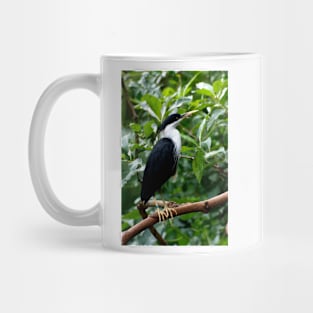 Pied Heron Mug